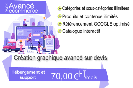 Cration site ecommerce avanc - agence web - ISDI